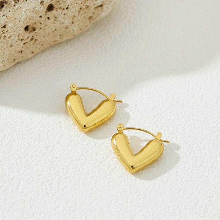 Heart Stainless Steel Earrings