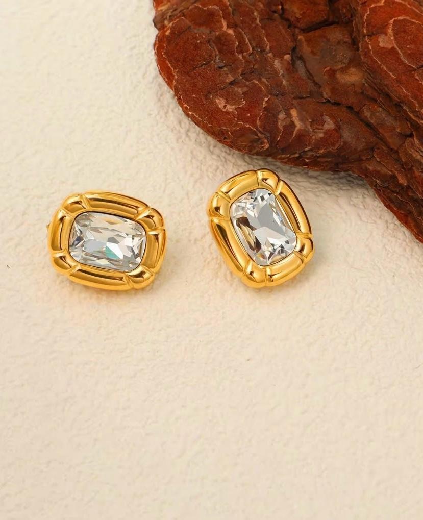 Royal Charm Stainless Steel Earrings